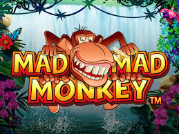 keunikan dalam permainan Mad Monkey H5